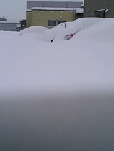 雪