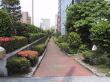 市場までの小道