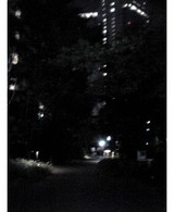 聖路加遊歩道