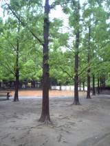 あかつき公園