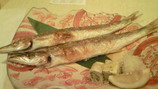 kamasu