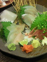 sashimi
