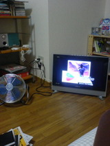 050626_2124~01.jpg