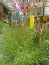 050707_1132~01.jpg