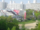 82f5479f.JPG