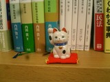 cat01