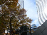 5011065d.JPG