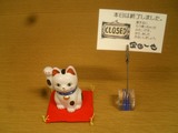cat02