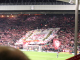 behind the goal