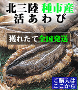 6535b867.jpg