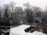 snowy