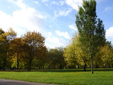 b945d133.JPG
