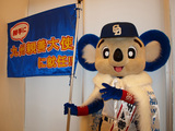 f655c12e.jpg