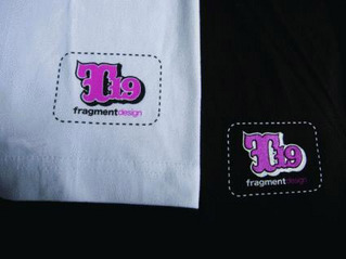 t19×Fragment_suso