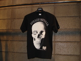 DSC06134.jpg