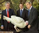 thanks giving