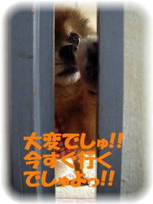 _りーはみた5