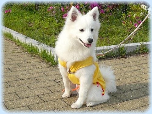 ・・・でも、やっぱりまだママに甘えていたいな〜^^