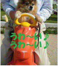 おとーさんも一緒にのろっ!!
