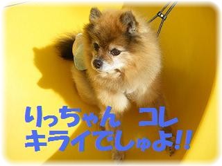 お、、、おちるでしゅ〜!! 助けて〜