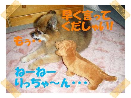 うゎ〜んっ!!! りっちゃ〜ん・・・