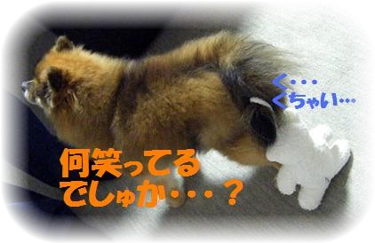おかーさん、どうしたでしゅか??