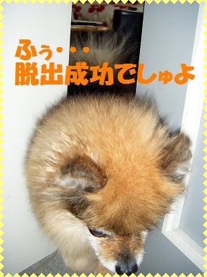うわぁ〜ん!! おとーさん!! おかーさん!! おねーちゃんに意地悪されたでしゅ〜っ!!