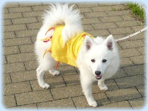 ボクはそらっ!! お空に負けないくらいココロの広い男になるぞ〜