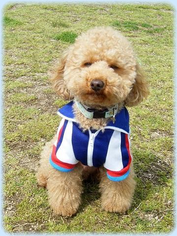 今日はおねーちゃんと一緒でゴキゲンっ♪