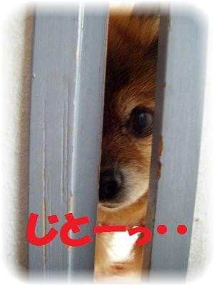_りーはみた3
