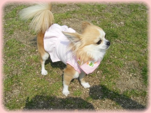 あたちってばかわいすぎてこまっちゃう〜♪