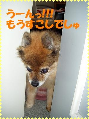 うっ。。。あ、、、あたまさえ出れば〜