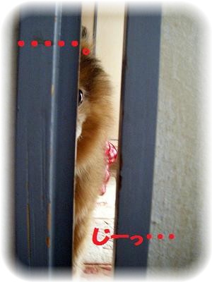 _りーはみた1