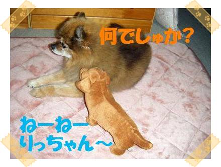 ひっくひっく・・・。りっちゃん・・・。