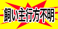 5dogs10cats_banner