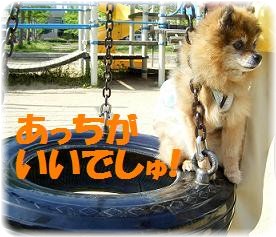 あっちの黄色い方に行きたいでしゅっ!!