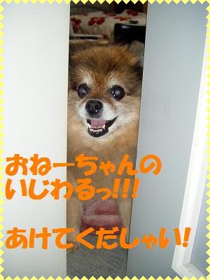 おとーさんとおかーさんに言いつけましゅよっ!!