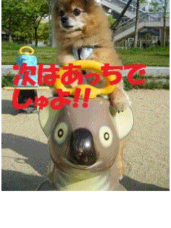 のりごこちは一緒なんだぁ〜 つまんないっ