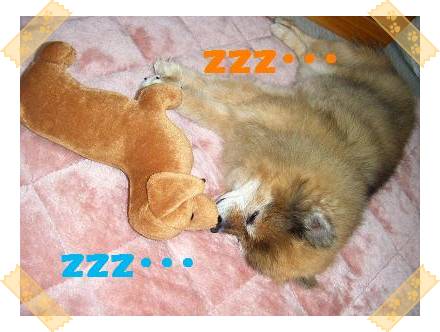 ずっと仲良しでしゅよ〜。。。