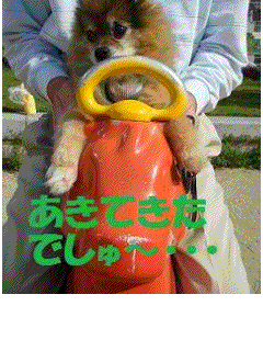 はぁ。。。もういいでしゅ〜