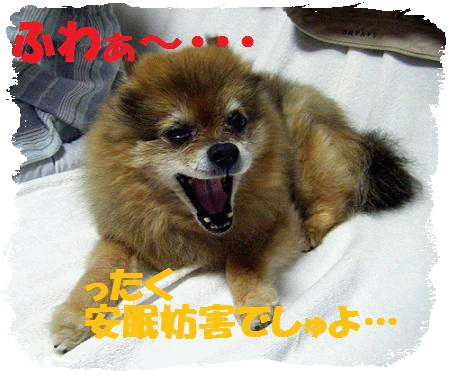 はやく野球終わらないかなぁ〜