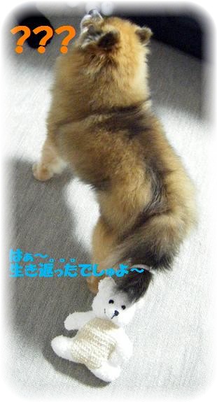 何が楽しいでしゅか〜?? りっちゃんにも教えてくだしゃいっ!!