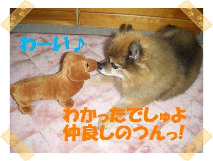 こーゆー感じでねんねしてほしいでしゅ・・・