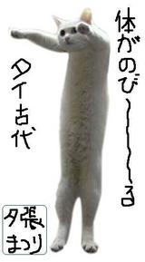 1243091163_82
