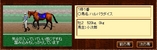 サンプル馬＠ハルパラダイス 芝１０００ｍ 平均 ０分５８秒３