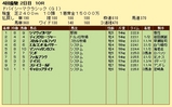 第９Ｓ：０３月５週 ドバイシーマクラシック 競争成績