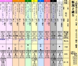 第１３Ｓ：０９月２週 新潟２歳Ｓ