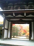 7f1d6a78.jpg
