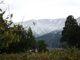 P1020913