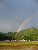 虹１